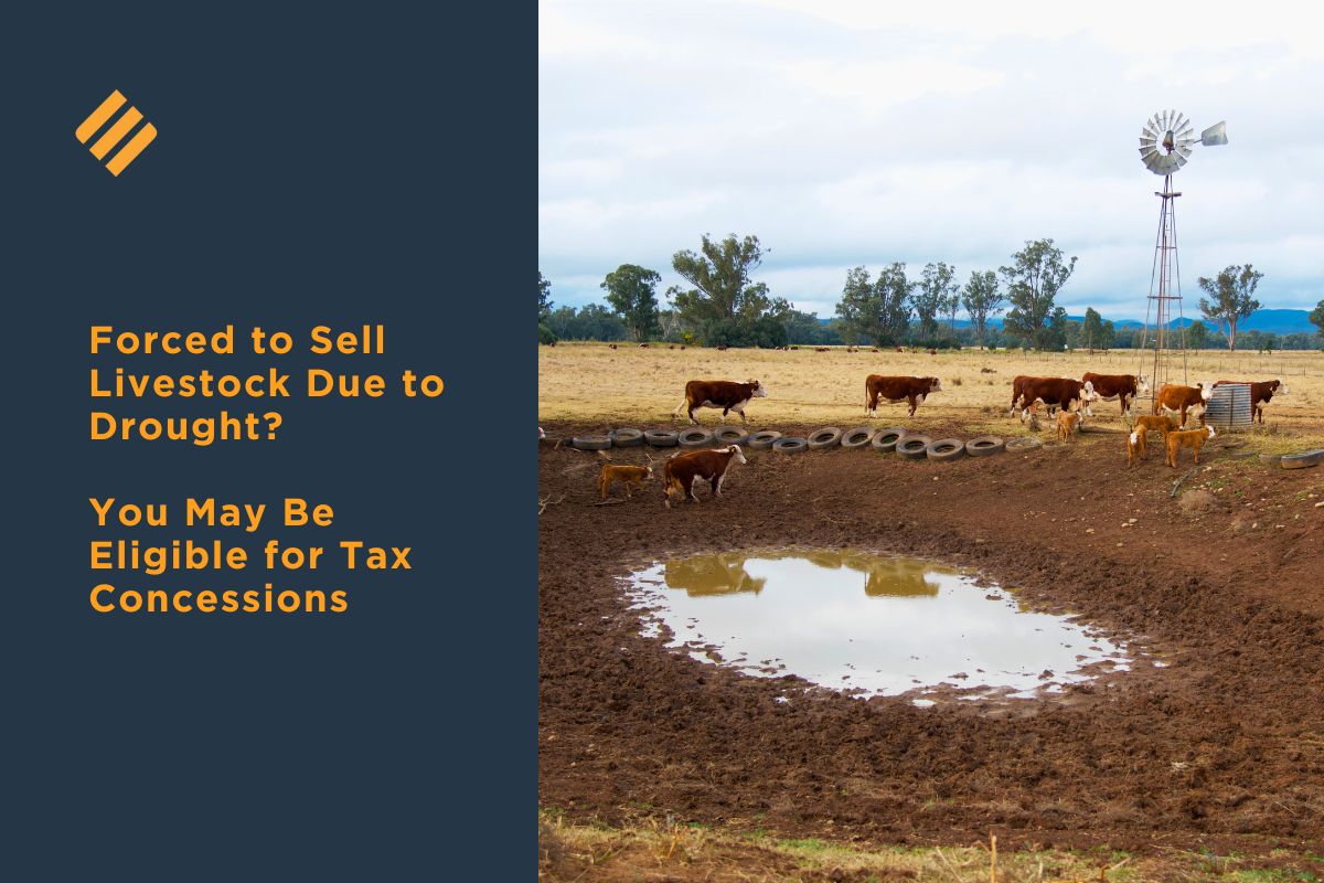 Drought livestock tax concessions 